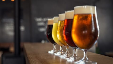 Empresa busca pessoa para viajar o mundo e beber cerveja; o salário é de R$ 36 mil- Fonte Shutterstock