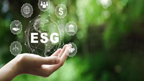 Tudo o que o RH precisa saber sobre ESG e como implementá-lo na organização| fonte: Shutterstock